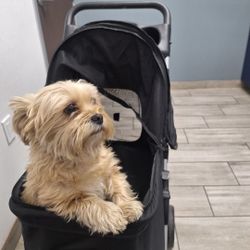 Dog Stroller