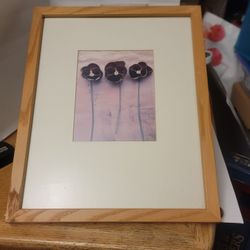 Framed Casual Pansies