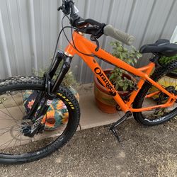 Orange mountain bike deals sale