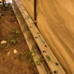 Werner 28” Aluminiun Ladder And Foot leveler