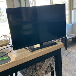 Vizio 48” Monitor- can be used with fire stick or Roku to become a TV
