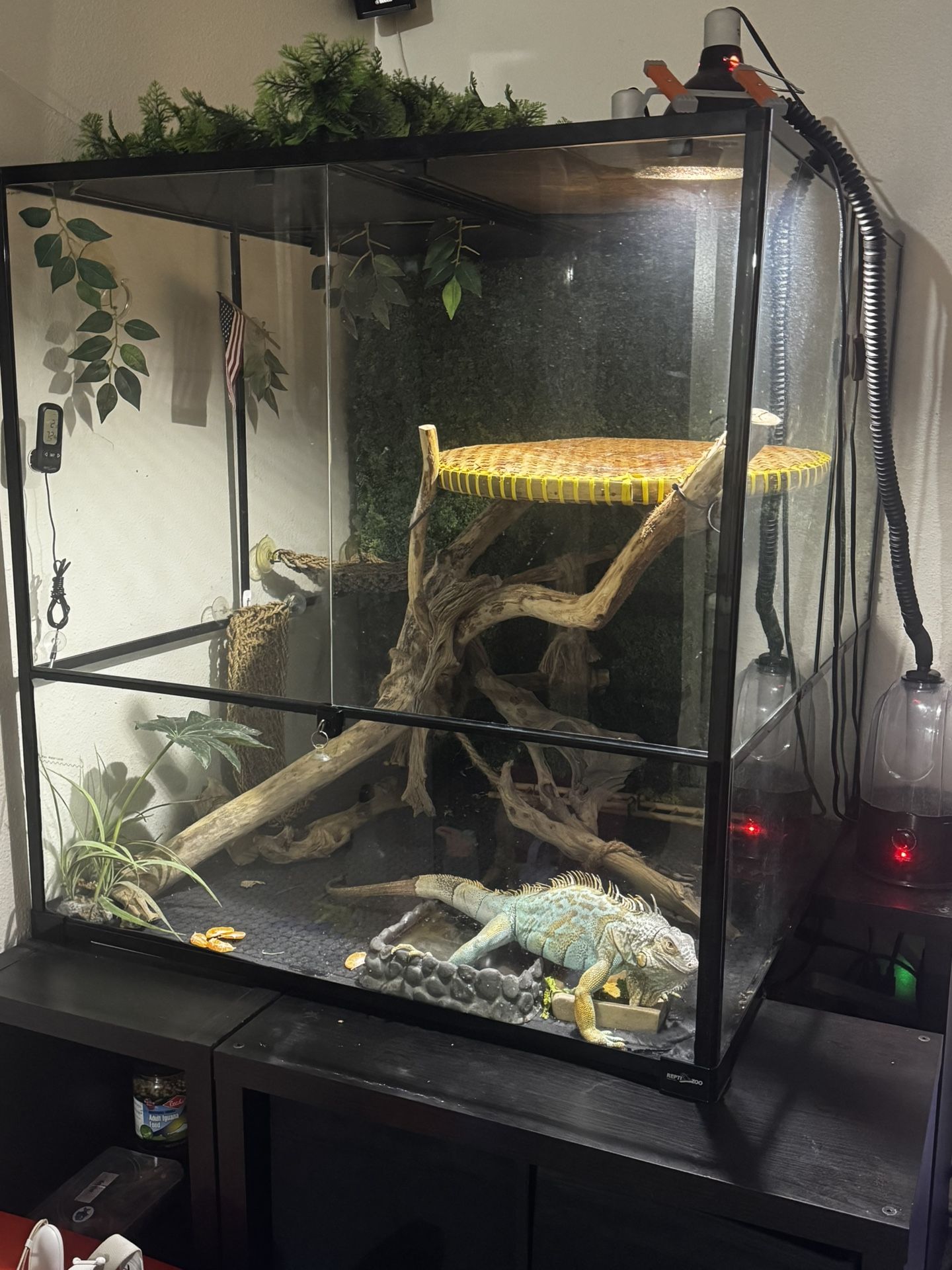 Terrarium 264 Gallon