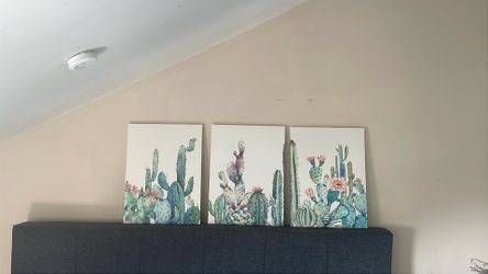 Set of three cactus painting