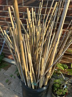 Bamboo Stakes $1.00 Each 