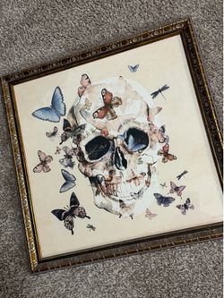 Framed wall art. Skull and butterflies