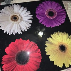 Beautiful Wall Decor NO Flaws HAS Glossy Front See All Pics