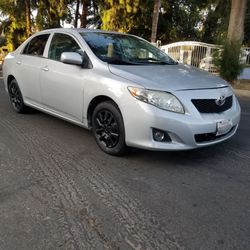Toyota Corolla super clean