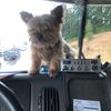 Bob