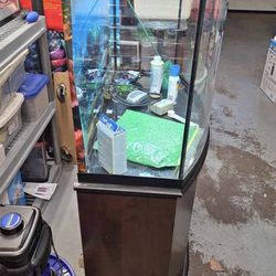 Aquarium W Everything Including Fishes 