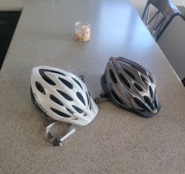 Two Adult Bicycle Helmets. Giro And Schwinn. Must Buy Both For 40