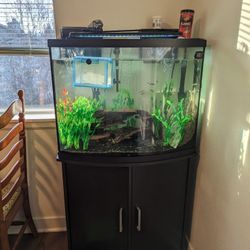 40 Gallon Bow Front Fish Tank 