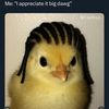 Alfredo