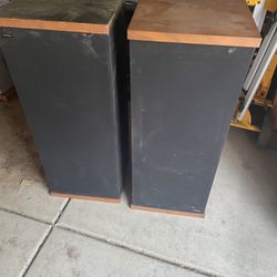 Criterion Floor Speakers