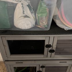 Dwarf Lionhead Bunny Cage