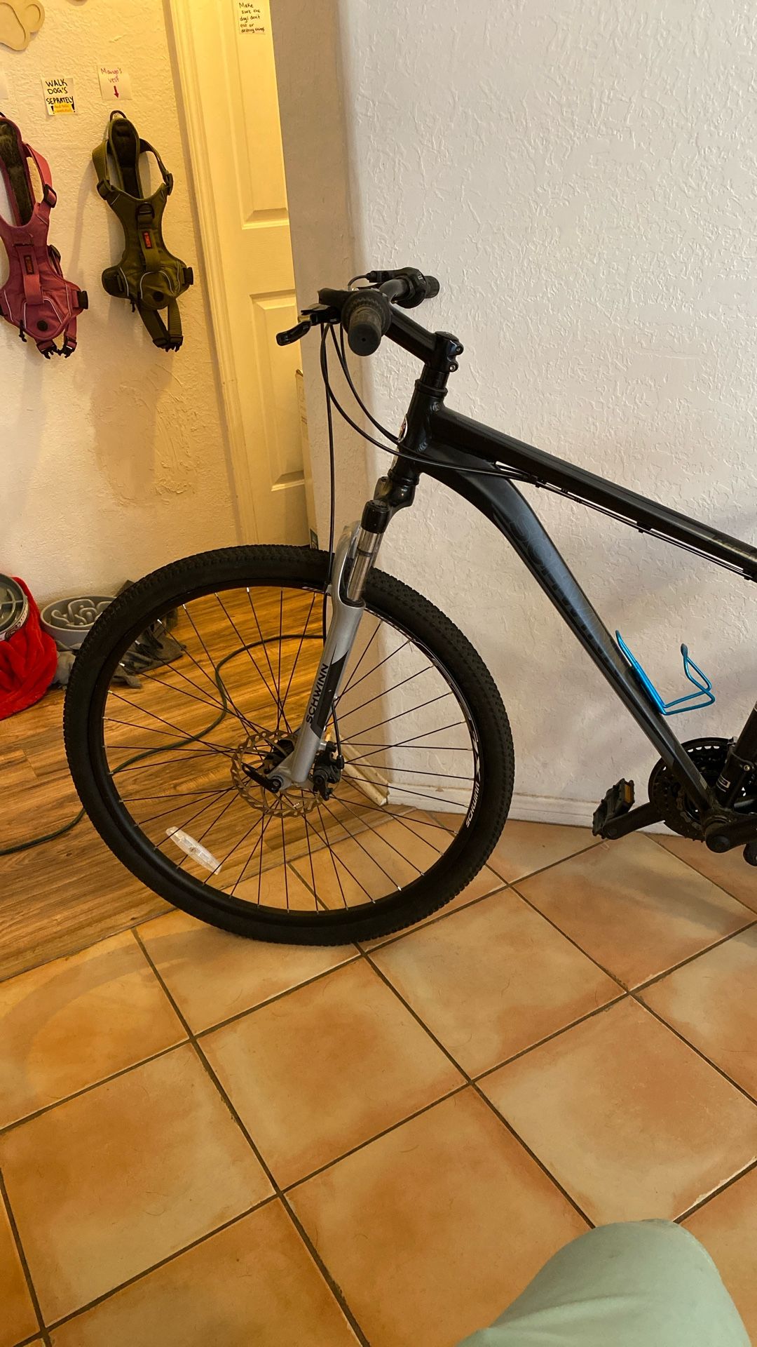 Schwinn Ascension - 29