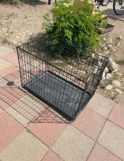 Dog Cage