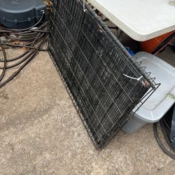 $15- Large Dog kennel- Local Pickup 
