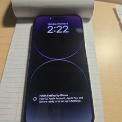 iPhone 14 Pro Max 256 GB  $500