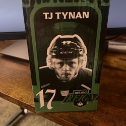 Ontario Reign Anniversary Merch Figure