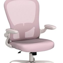 Ergonomic Office Chairs 