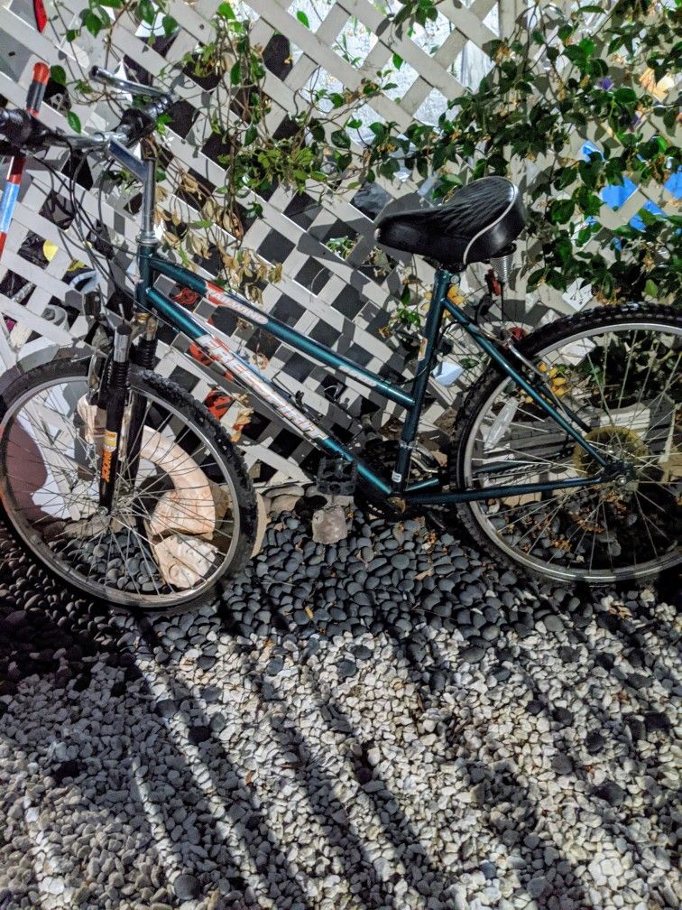 Bicicleta