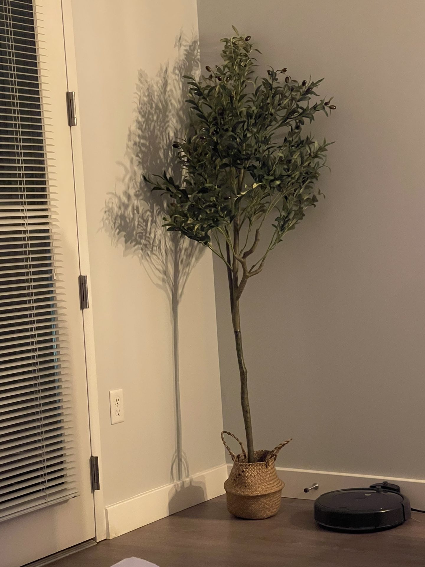 Olive Tree (feels real)!