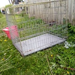 Dog Cage