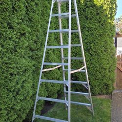 10' Aluminum Lasder