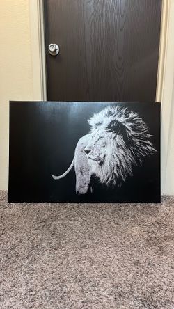 Lion Picture