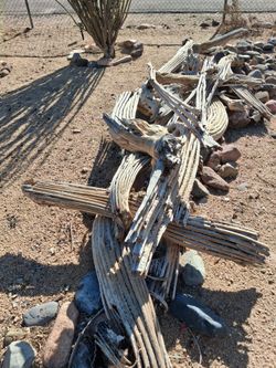 Dried Saguaro Cactus Skeleton Pieces
