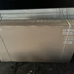 55" Samsung The terrace TV