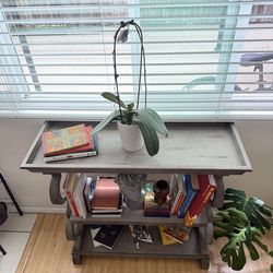 Modern Rustic Console Table/ Bookshelf