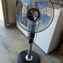 Floor Fan 