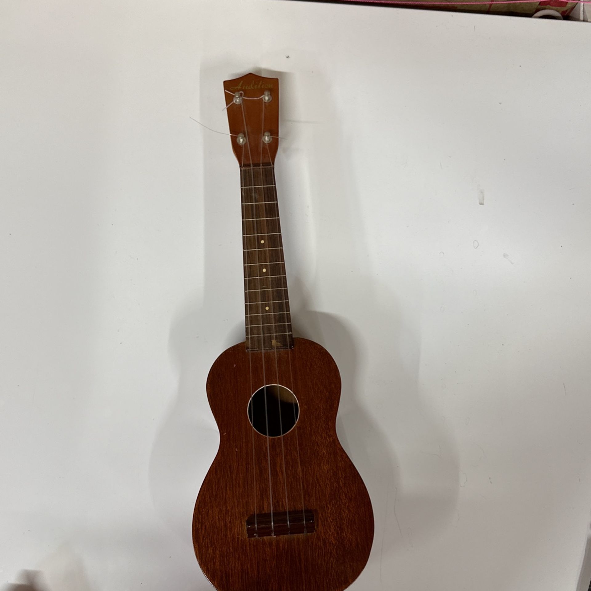 Audition Ukulele