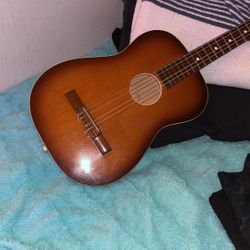 Acoustic Guitar