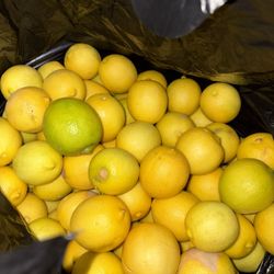 Mexican Lemon 
