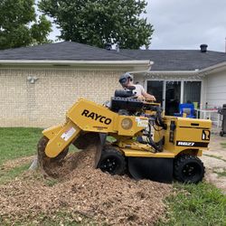 Stump Grind Removal 