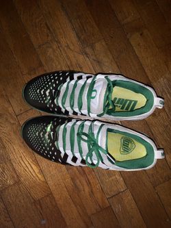 Win The Day Trainers