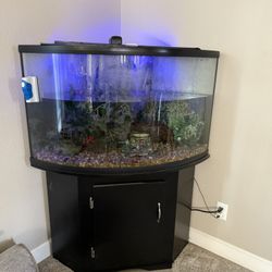 Corner Fish tank with stand