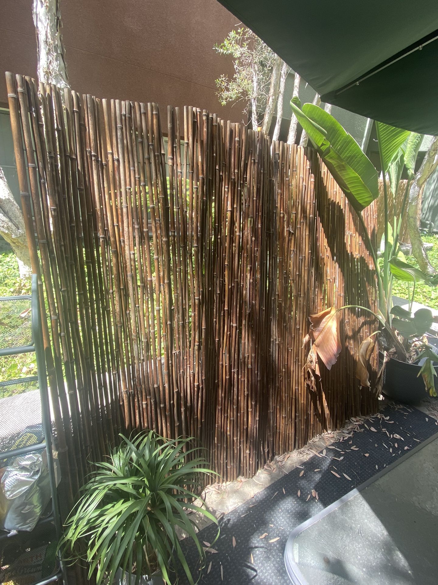 Bamboo Fence - Home Depot
