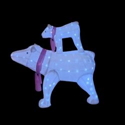 LIGHT UP POLAR BEARS