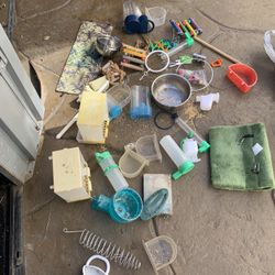 Bird Toys And Feeders 