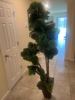 $25 artificial fiddle-leaf fig tree $25