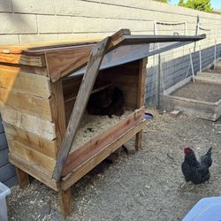 Chicken Coop
