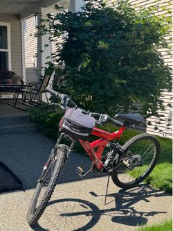 Gauntlet Boys 24" Mountain Bike Red