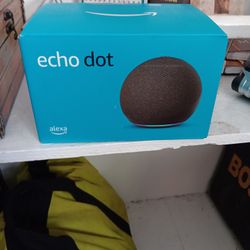 Echo Dot