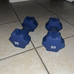 20lb Dumbbells