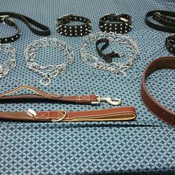 BRAND NEW DOG COLLARS FOR SALE.