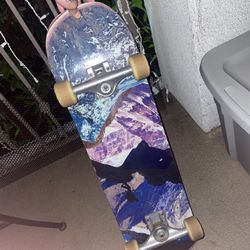 Skateboard 