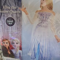 Elsa Frozen Costume